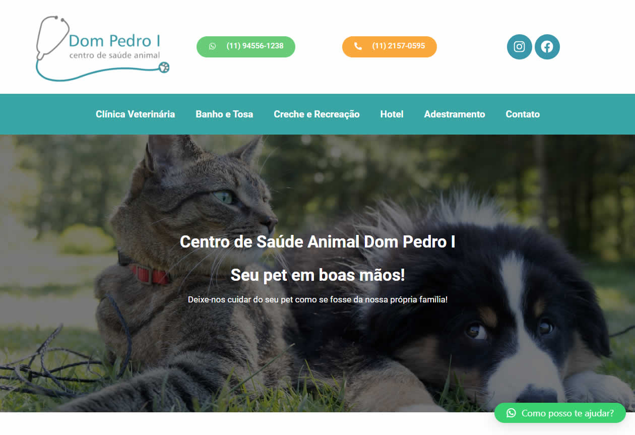 Desenvolvimento de Sites Profissionais